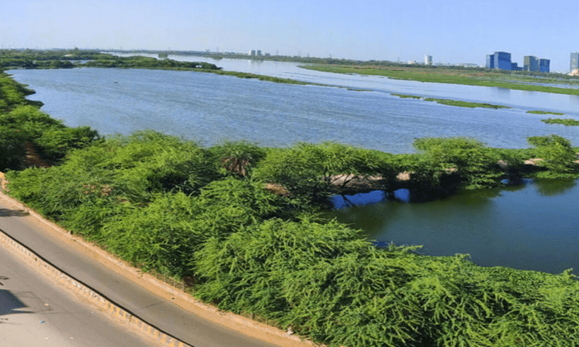 Yamuna becomes clean due to lockdown