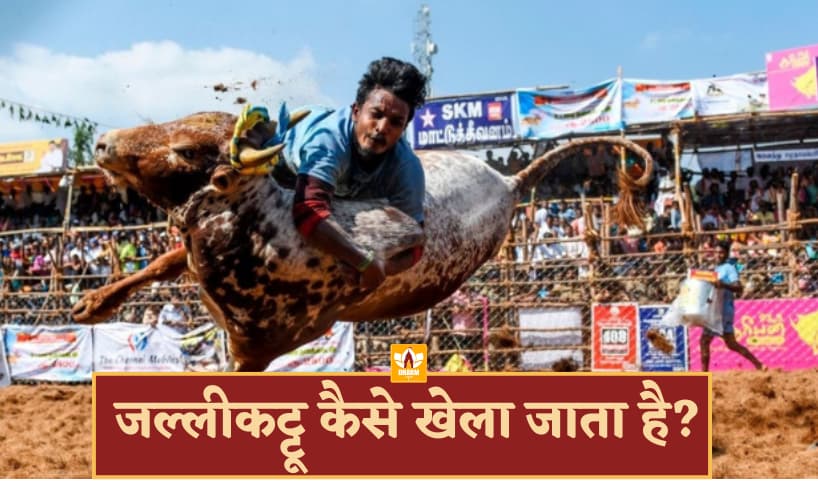 Jallikattu Festival In Hindi