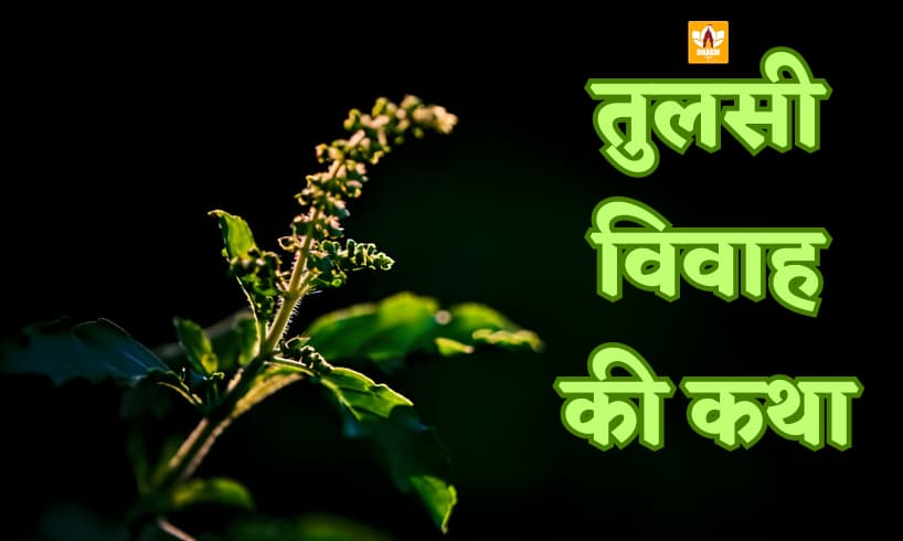 Tulsi Vivah Katha